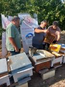 Yeşilyurt Belediyesi’nden ‘Arının Dili, Balın Özü’ Projesi